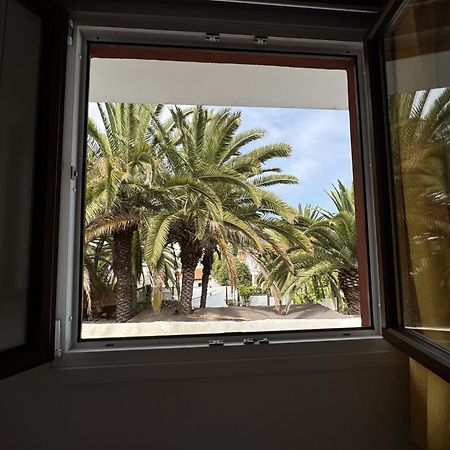 Phoenix Canariensis San Juan de la Rambla Esterno foto