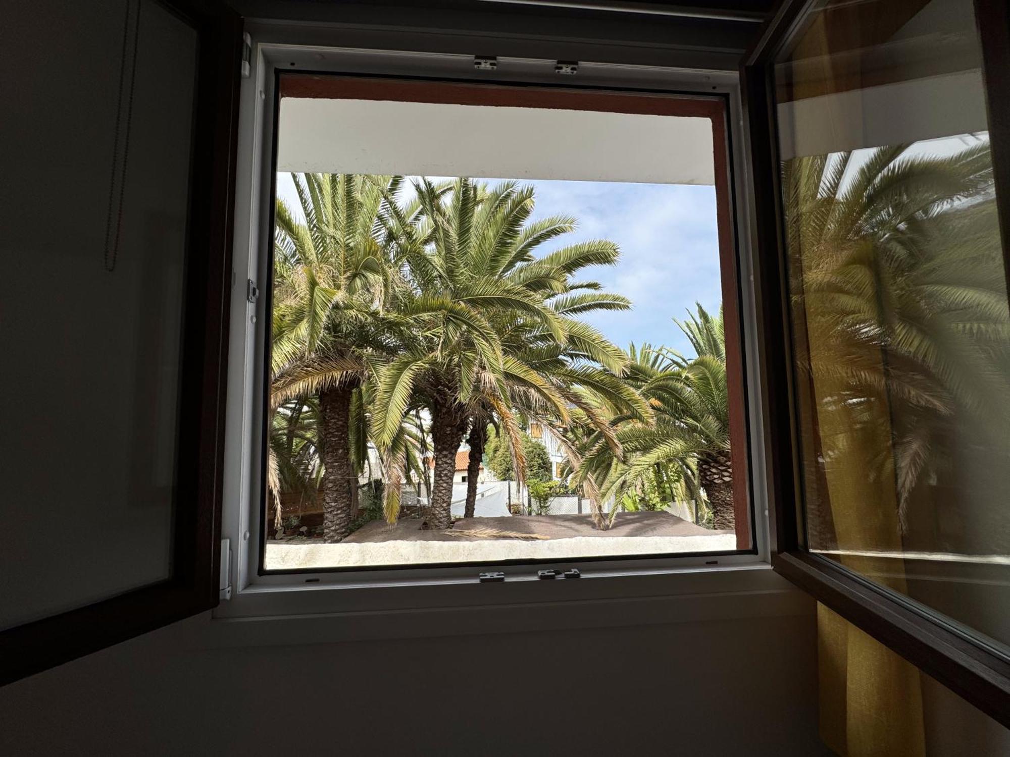 Phoenix Canariensis San Juan de la Rambla Esterno foto