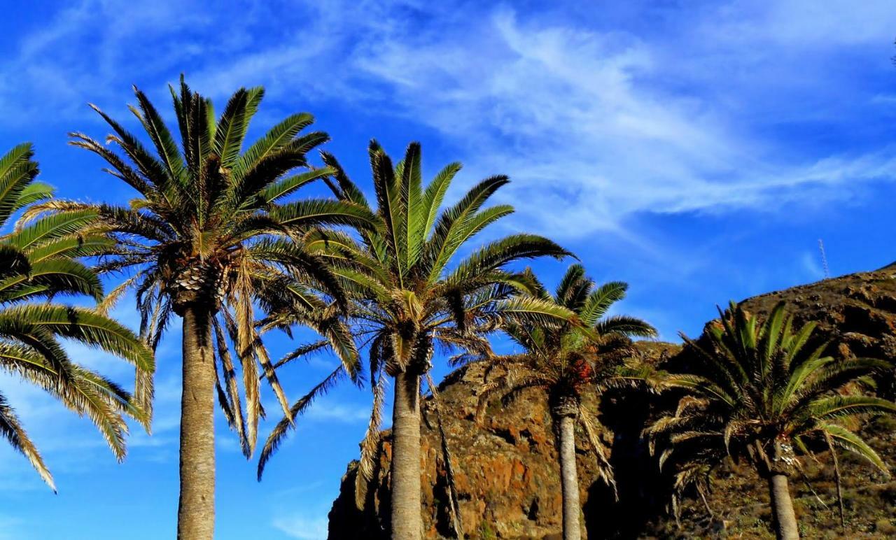 Phoenix Canariensis San Juan de la Rambla Esterno foto